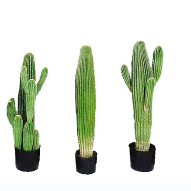 Simulación de cactus cactus en maceta gran planta tropical falsa columna de cactus escena interior decoración de ventana