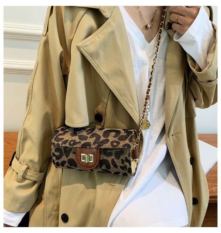 CrossBorder New Arrival Womens Foreign Trade Bags 2021 Winter New Chain Small Bag Leopard Print Shoulder Messenger Bag Mobile Phone Coin Pursepicture4