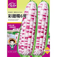 Ŵ6̖Ŵ׷NŴ׷NѴȫŴ߮aˮݳ