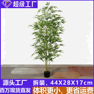 �����������Բ��b���z�U�������҃��쾰�b羳�پGֲ��ʽë��