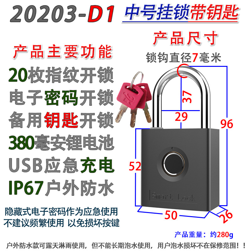 20203-D1