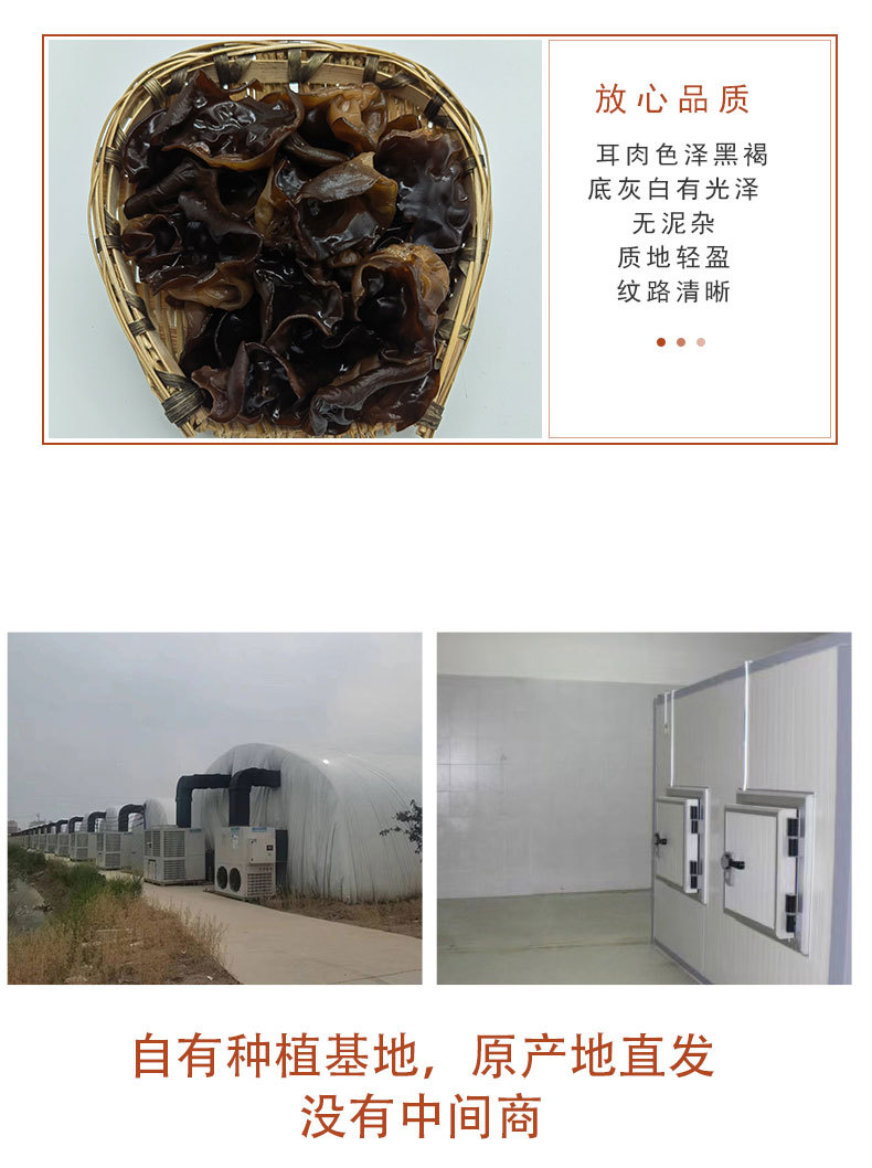 黑木耳_06.jpg