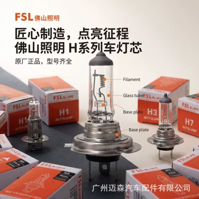 Foshan Lighting 12V car headlights, Ön faralar