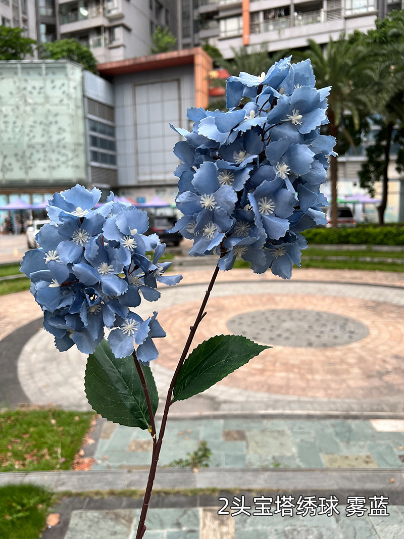 2 cabezas pagoda Hortensia niebla Azul