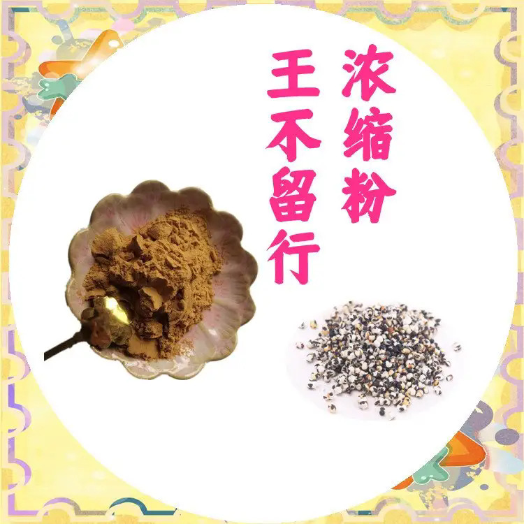 王不留行浓缩粉植物原料食品级精细粉末王不留行提取物现货包邮