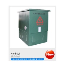 高壓10KV電纜分接箱  冷軋板鐵殼一進一二三四出分支箱