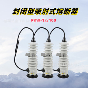 10KV Outdoor High Voltage Enclosed Jet Fuse PRW-12/50A100A Lingke Switch Fuse