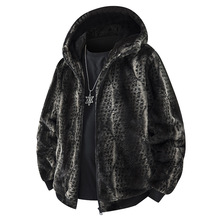 25006�羳�����W�a�¿ɫ�������׊A���_�����e�r�з��L���_ץ