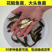 ��ˮ�����~����^�~���^�~���~������I�~�Ĵ���~���w�Bֳ�~ʳ��