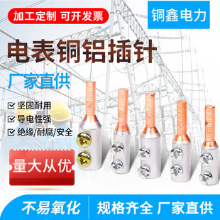 Dtla Pin-Type Copper-Aluminum Nose Circuit Breaker Circuit Breaker Special Screw Meter Pin C45 Terminal Connector