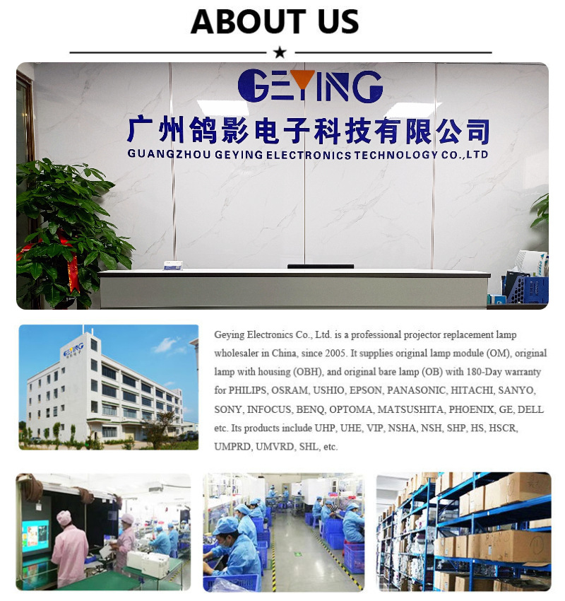 公司介绍