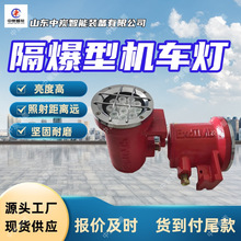 耐腐蚀矿用隔爆型机车灯 结构轻巧 DGY18/48L(A)矿用隔爆型机车灯