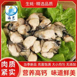 东山岛冷冻生蚝肉整箱商用活冻牡蛎肉火锅不带壳生蚝食材新鲜海蛎