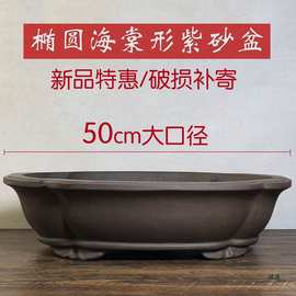 紫砂椭圆花盆特大盆景盆粗陶透气榕树老桩盆罗汉松海棠形盆特大号