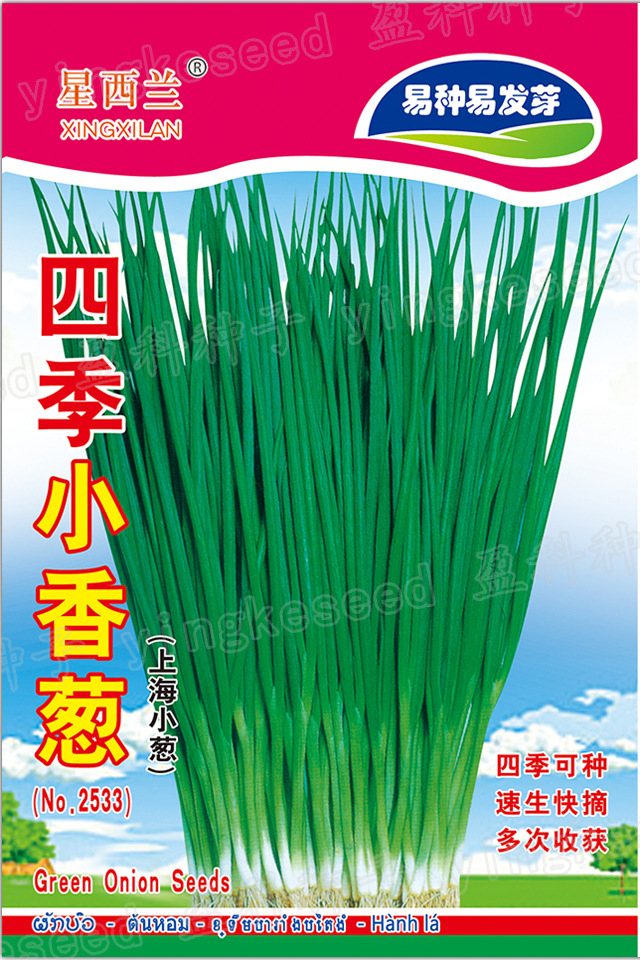 四季小香葱一一一一