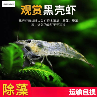 �ښ��r�r���^�p�r�����~��С�r��ˮ�ͻ���ˮ̖�坍�O��ѻ��r
