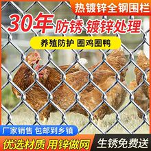 铁丝网养鸡围栏网镀锌防锈菜园勾花钢丝网养殖网格护栏防护网家用