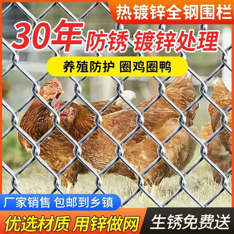 铁丝网养鸡围栏网镀锌防锈菜园勾花钢丝网养殖网格护栏防护网家用