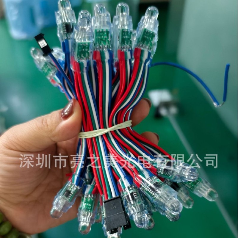 カスタム12mm注入防水LEDフルカラー露出ランプ5v 12v穿孔画素ランプクリスマス装飾屋外点灯|undefined