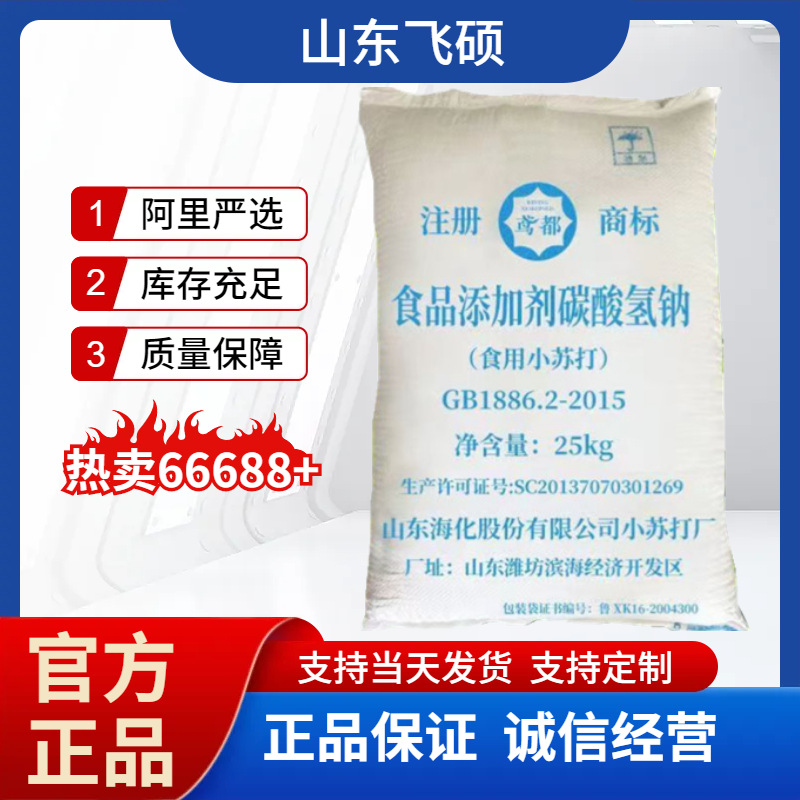 山东食用碳酸氢钠 工业级小苏打膨松剂 苏打 水处理碳酸氢钠
