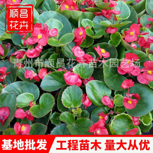 �ļ����Ļ��� �G�~���Ļ���һ��[ ���@��ƺ���^������ �G����ľ