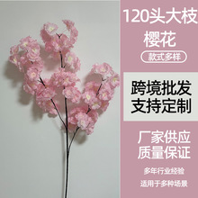 ����ѻ���֦�b�120�^��֦�ѻ��ٻ�����ѻ���÷�����S�羳