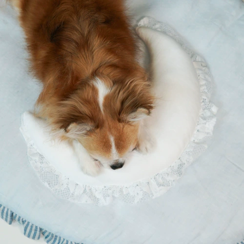 Новый питомец плюшевые собаки моделирование подушки мультфильм Луна Подушка Хлопок Плюшевые игрушки любимчика оптом