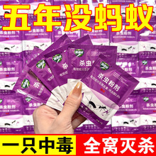 【一件代发】迪迪威蚂蚁药一窝端家用厨房花盆菜地野外呋虫胺0.8%