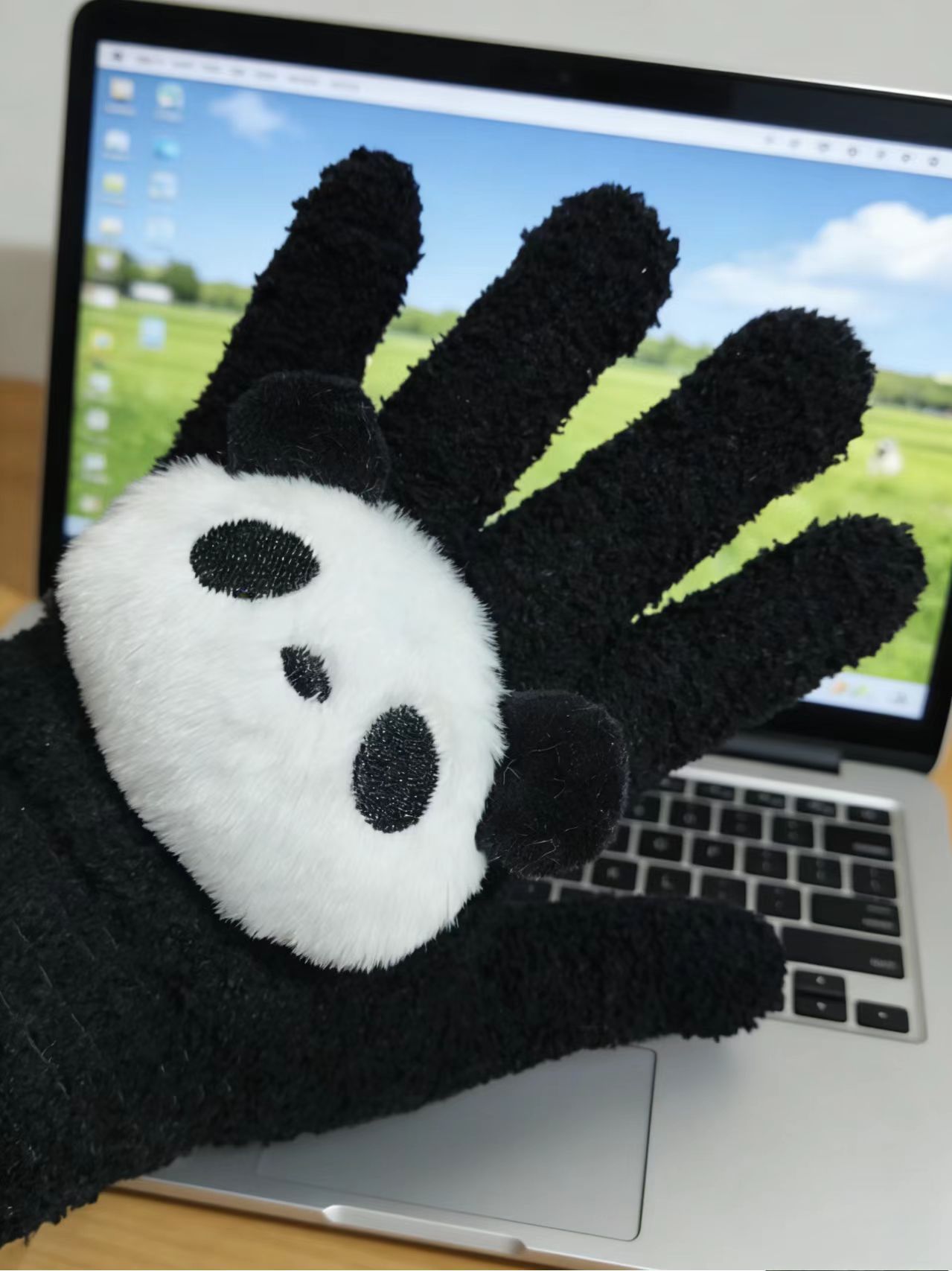 판다 블랙 장갑