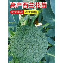 ���m�������绨Ҭ�����๣�ɻ�����G���{�������ﶬ���{������
