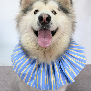 MYNE PETS����ȫ�����{����ˮ��l�y����؈�乷���ý�ë����˹��