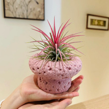 �t���`�P��Ȥζ�辰�҃ȿ͏d�k����������B���ܾGֲ5��Ȱl؛