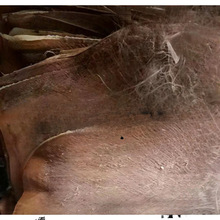 棕树皮棕衣棕毛棕榈衣棕丝棕片棕皮装饰绿萝棒椰棕棒茅草屋用