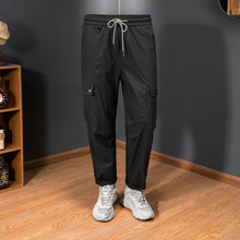 ���b���eѝ��ʿ���Q2025�괺���¿�ɳ�����ڴ��ٴɫ�Lѝ��