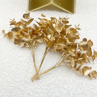 ���컨֦ �����ɫ����~ ��ĸ���� �ǹ����}�Q�����b� �ҾӔ[��