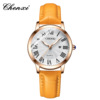 Brand fashionable waterproof quartz watch