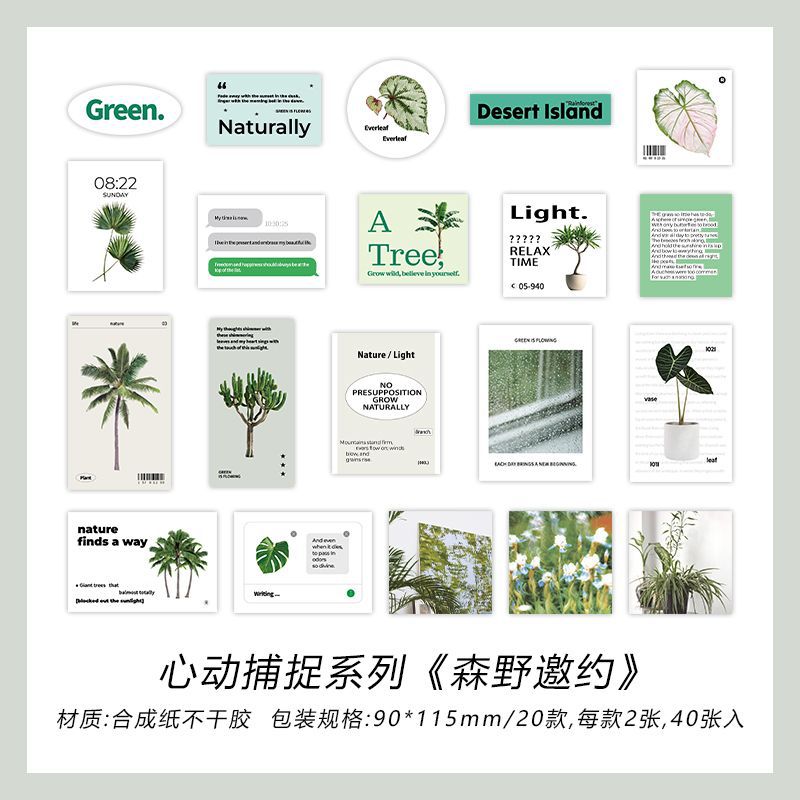 Paquete de pegatinas Infeel.Me Heartbeat Capture Plantas de sal Patrón en inglés Cuenta manual Diy Pegatinas de sellado decorativas