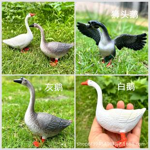 ������݄����Zģ����ߪ{�^�Z ���Z ����Z��ͯ�J֪��ߔ[��ģ��