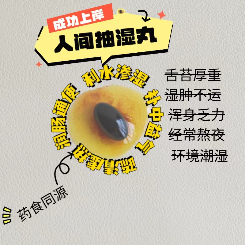 资质齐全肉桂广藿排湿口服胶囊紫苏红花姜黄胶囊