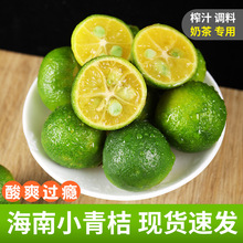 ���rС��ۺ��Ͻ���̲�����Ƥ����������ˮ���������r����