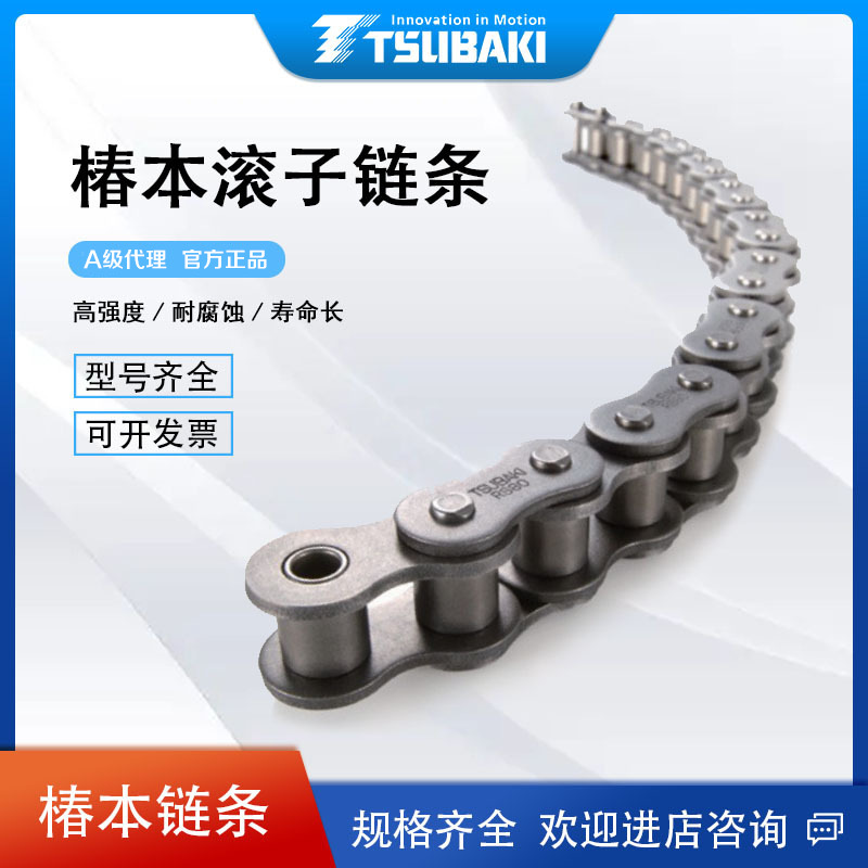 日本原装椿本链条 TSUBAKI链条 RS16B现货