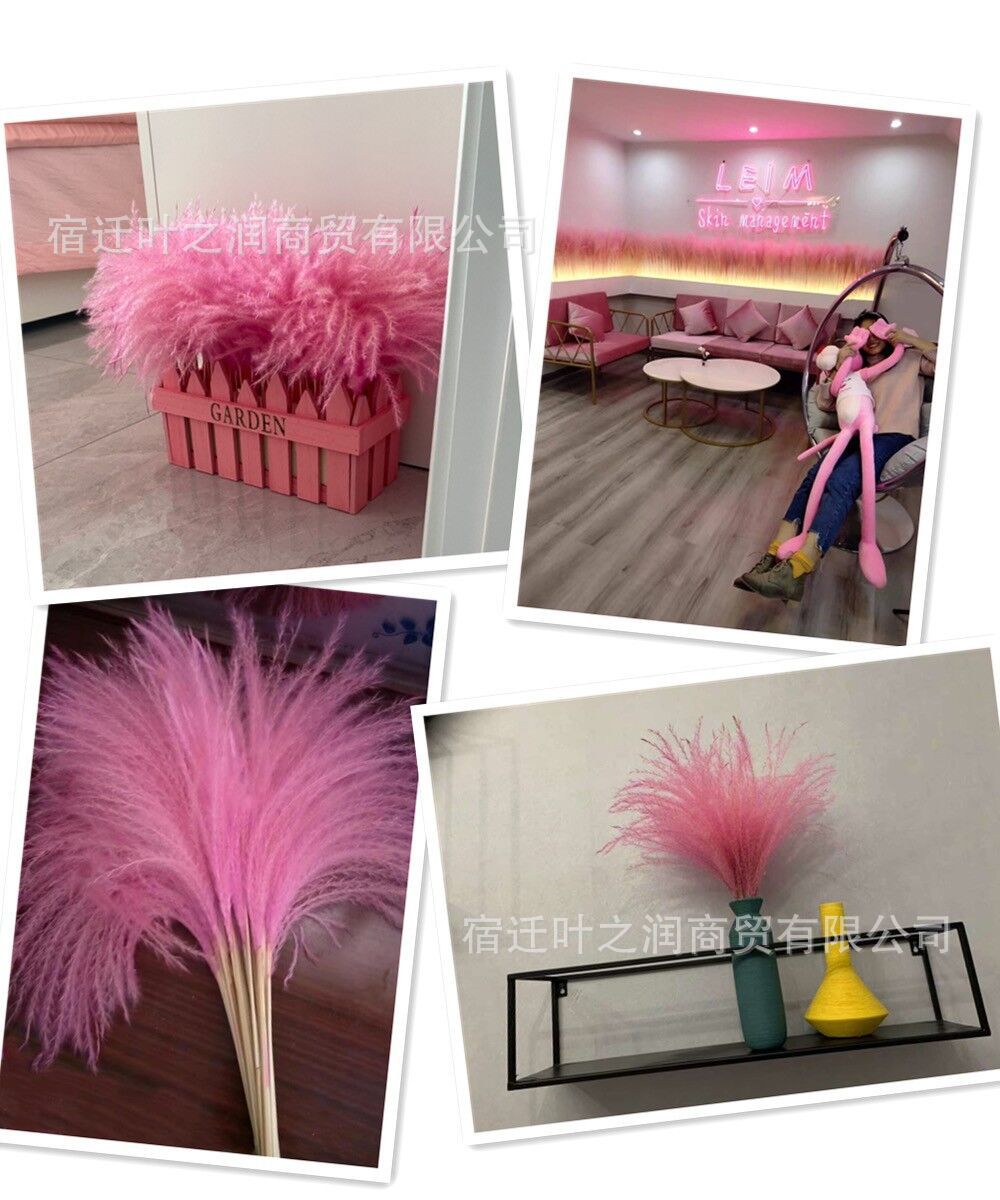 NKN48X`89K2TO@)Z0QB]]3E