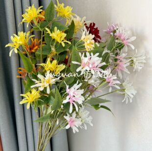 �¿���滨�ٻ����y���ҾӔ[���b廨�����͏d�[���Ĕz