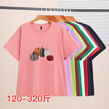 ��aŮ�b����t��Ůʿ�����ļ�������mm�@��200��A�I����Ů66919T