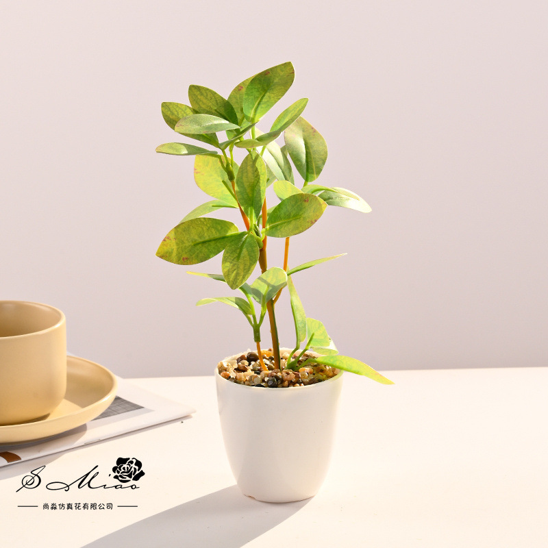 Simulación de plantas verdes, pequeñas plantas en macetas, flores artificiales, flores creativas, decoración de estudio fotográfico para el hogar, plantas verdes artificiales, bonsai de simulación image 9