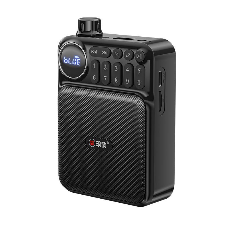 Langyun C75 Bluetooth カードオーディオラジオ大音量ミニアンプ多機能ポータブルプレーヤー|undefined