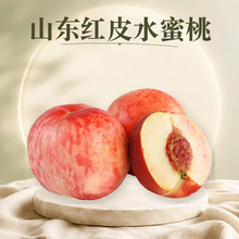 山东金秋红蜜红皮水蜜桃 代发3斤毛桃汁多味甜应季鲜桃新鲜水果