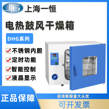 上海一恆電熱恆溫鼓風干燥箱DHG-9015A烘箱300度工業烤箱烘干機