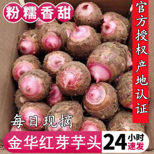 ���A�tѿ���^5���Ŵ���� �������r���] ���|��ā������Ʒ