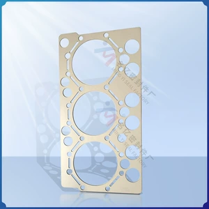 VOLVO Mühərrik Silindr Qatqısı 276816 Scania 60.31095.10276816 50384
